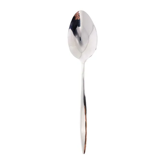 Cuillère à Servir Rocco – Inox 18/10 – 23,5 Cm – Table Passion