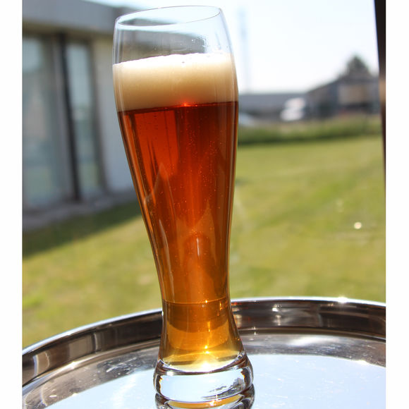 Verre à bière LAGER en verre 50cl