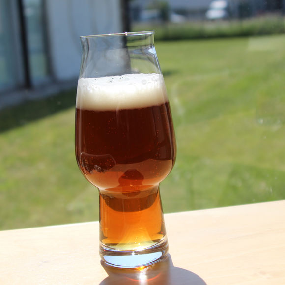 Verre à bière IPA en verre 50cl