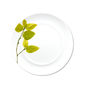 Assiette plate en porcelaine 28cm