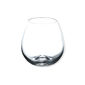 Verre à dégustation taster 44cl