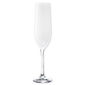 Flûte à champagne en verre blanc 19cl