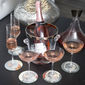 Flûte à champagne filet platine 21cl