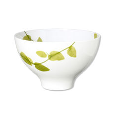 Saladier en porcelaine 25cm Saladier en porcelaine 25cm